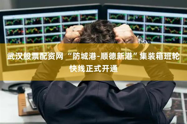 武汉股票配资网 “防城港-顺德新港”集装箱班轮快线正式开通