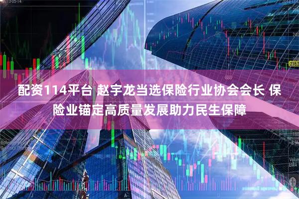 配资114平台 赵宇龙当选保险行业协会会长 保险业锚定高质量发展助力民生保障