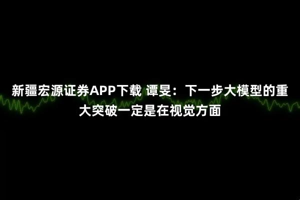 新疆宏源证券APP下载 谭旻：下一步大模型的重大突破一定是在视觉方面