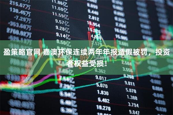 盈策略官网 嘉澳环保连续两年年报造假被罚，投资者权益受损！