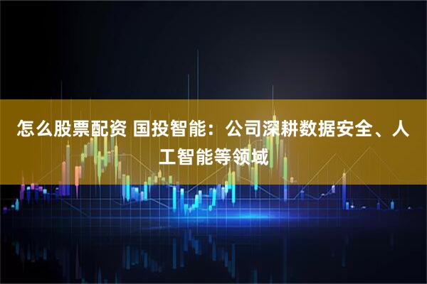 怎么股票配资 国投智能：公司深耕数据安全、人工智能等领域